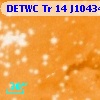 DETWC Tr 14 J104347.5-593310