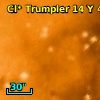 Cl* Trumpler   14      Y     458