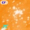 DETWC Tr 14 J104358.9-593307