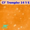 Cl* Trumpler   14      Y     615