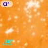 DETWC Tr 14 J104400.6-593404