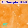 Cl* Trumpler   16     MJ     341