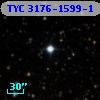 TYC 3176-1599-1