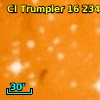 Cl* Trumpler   14      Y     363