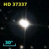 HD  37337