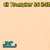 DETWC Tr 16 J104454.7-594124