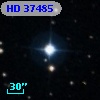 HD  37485