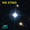 HD  37503