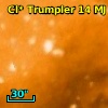 Cl* Trumpler   14     MJ      87