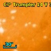 Cl* Trumpler   14      Y     346