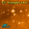 Cl* Trumpler   14      Y     321