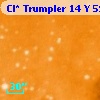 Cl* Trumpler   14      Y     593