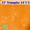 Cl* Trumpler   14      Y     592