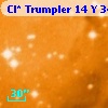 Cl* Trumpler   14      Y     345
