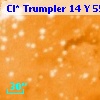 Cl* Trumpler   14      Y     557