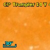 Cl* Trumpler   14      Y     462