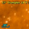 Cl* Trumpler   14      Y     318