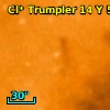 Cl* Trumpler   14      Y     574
