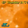 Cl* Trumpler   14      Y     568
