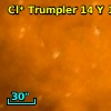Cl* Trumpler   14      Y     146