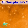 Cl* Trumpler   14      Y       7