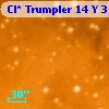 Cl* Trumpler   14      Y      31