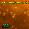Cl* Trumpler   14      Y     252