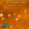 Cl* Trumpler   14      Y     319