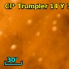 Cl* Trumpler   14      Y     341