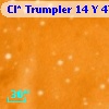 Cl* Trumpler   14      Y     477