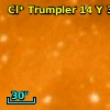 Cl* Trumpler   14      Y      32