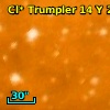 Cl* Trumpler   14      Y     231