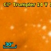 Cl* Trumpler   14      Y     195