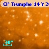 Cl* Trumpler   14      Y     262