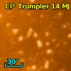 Cl* Trumpler   14     MJ       2