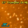 Cl* Trumpler   14     MJ       6