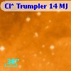 Cl* Trumpler   14     MJ     134