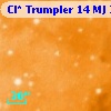 Cl* Trumpler   14     MJ     275
