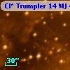 Cl* Trumpler   14     MJ     443