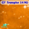 Cl* Trumpler   14     MJ     494