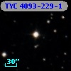 TYC 4093-229-1