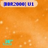 [BBR2000] U1
