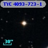 TYC 4093-723-1