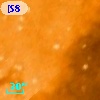 [S87b] IRS 71