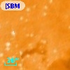 [SBM2003] J104339.1-593257