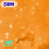 [SBM2003] J104339.8-593247