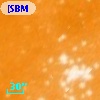 [SBM2003] J104402.8-593209