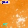 [SBM2003] J104402.3-593214