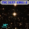 TYC 3177-1981-1