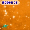 [P2004] 28